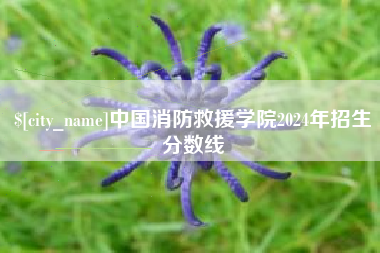 濮阳中国消防救援学院2024年招生分数线