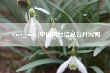 濮阳中国执行信息公开网询