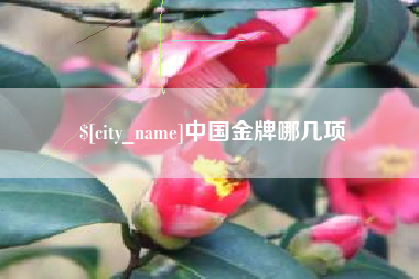 濮阳中国金牌哪几项