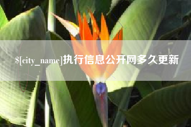 濮阳执行信息公开网多久更新