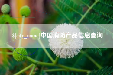 濮阳中国消防产品信息查询
