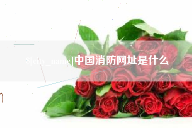 濮阳中国消防网址是什么
