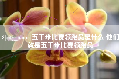 濮阳五千米比赛领跑员是什么-他们就是五千米比赛领跑员