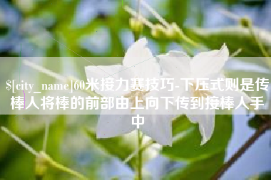 濮阳60米接力赛技巧-下压式则是传棒人将棒的前部由上向下传到接棒人手中
