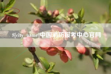 濮阳中国消防报考中心官网