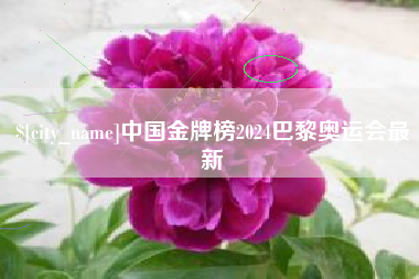 濮阳中国金牌榜2024巴黎奥运会最新
