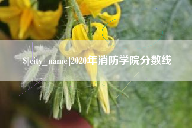 濮阳2020年消防学院分数线