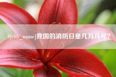 濮阳我国的消防日是几月几号？
