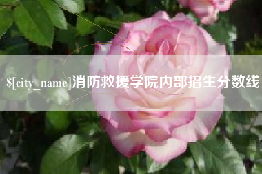 濮阳消防救援学院内部招生分数线