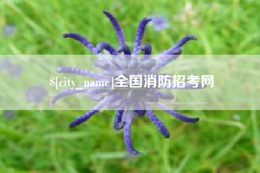 濮阳全国消防招考网