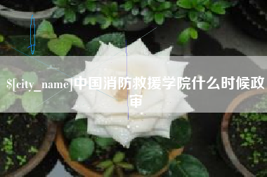 濮阳中国消防救援学院什么时候政审