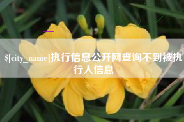濮阳执行信息公开网查询不到被执行人信息