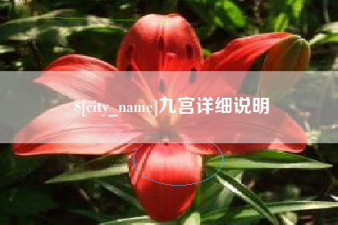 濮阳九宫详细说明