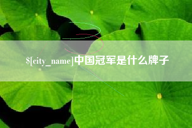 濮阳中国冠军是什么牌子