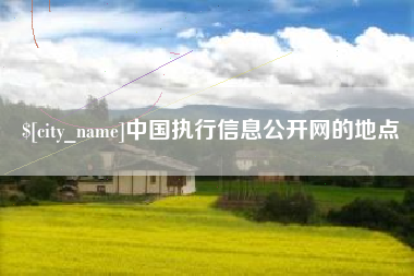 濮阳中国执行信息公开网的地点