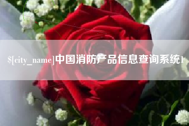 濮阳中国消防产品信息查询系统1