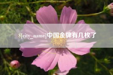 濮阳中国金牌有几枚了