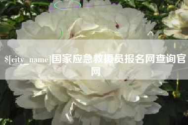 濮阳国家应急救援员报名网查询官网