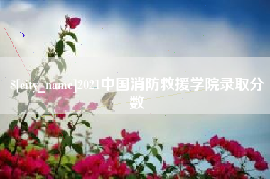 濮阳2021中国消防救援学院录取分数