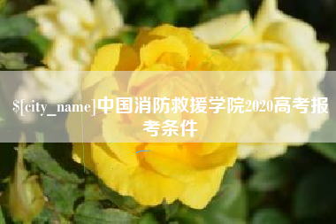 濮阳中国消防救援学院2020高考报考条件
