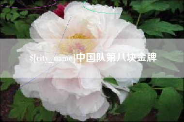 濮阳中国队第八块金牌