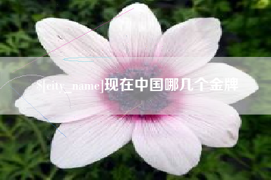 濮阳现在中国哪几个金牌