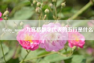 濮阳九宫格数字代表的五行是什么
