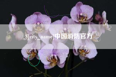 濮阳中国消防官方