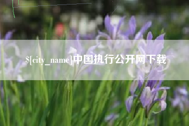 濮阳中国执行公开网下载