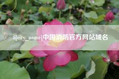 濮阳中国消防官方网站域名