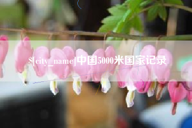 濮阳中国5000米国家记录