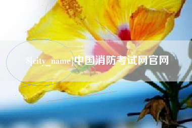 濮阳中国消防考试网官网