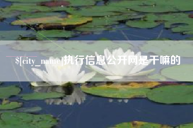 濮阳执行信息公开网是干嘛的