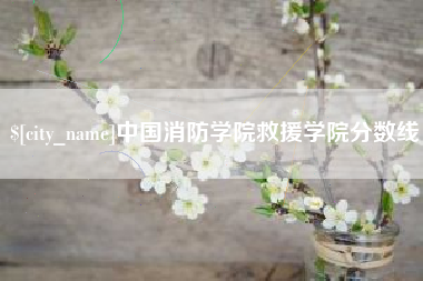 濮阳中国消防学院救援学院分数线