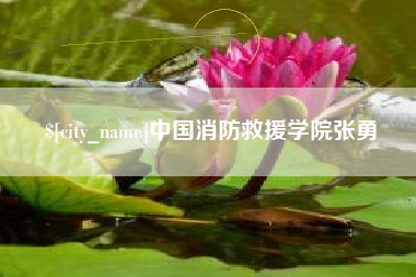濮阳中国消防救援学院张勇