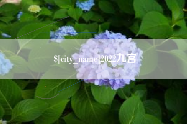 濮阳2022九宫