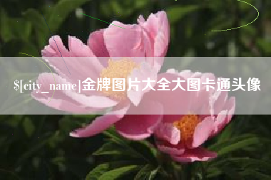 濮阳金牌图片大全大图卡通头像