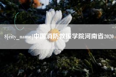 濮阳中国消防救援学院河南省2020