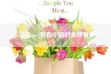 濮阳看看中国的金牌有多少